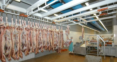Дезинсекция на мясокомбинате в Электрогорске, цены на услуги