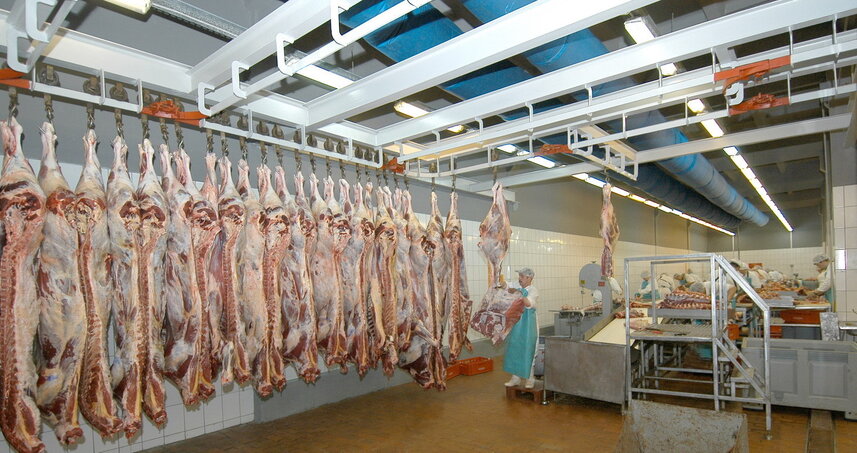 Дезинсекция на мясокомбинате в Электрогорске, цены на услуги
